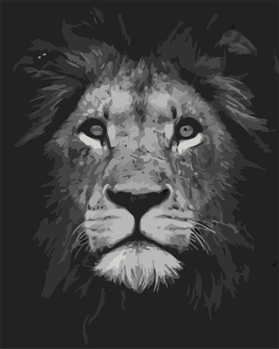 MALEN NACH ZAHLEN | LĂWE SCHWARZ WEISS