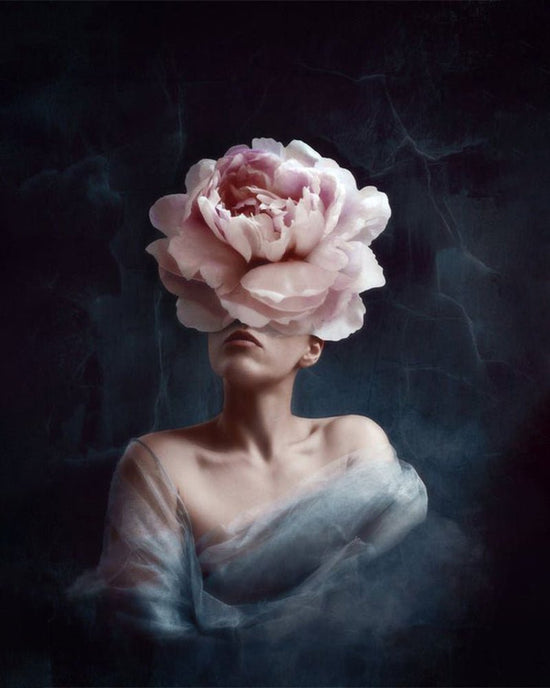 MALEN NACH ZAHLEN | FLOWERGIRL ROSE