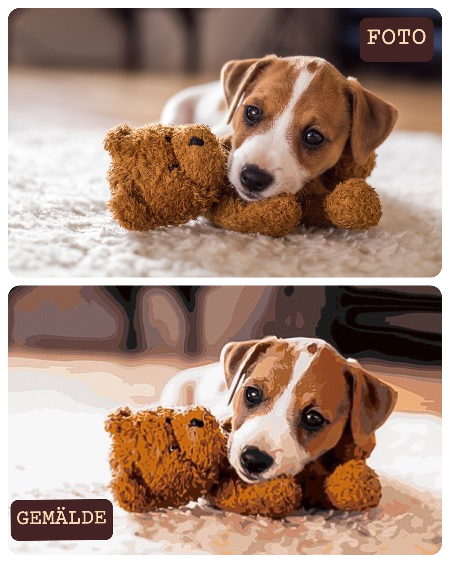 Malen nach Zahlen vorher nachher Haustier