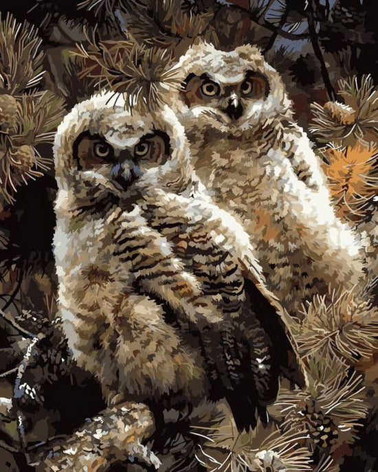 MALEN NACH ZAHLEN | ZWEI EULEN